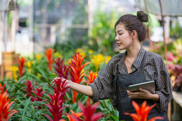 Modern technologies for farmers and growing flowers. Beautiful girl asia with tablet in hands near flowers in greenhouse. Plant studies and research