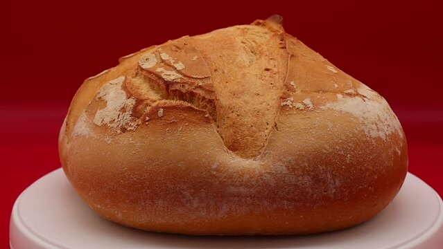 Fresh loaf of Apulian Bread, pane pugliese, rotating on red background. Altamura Italian bread