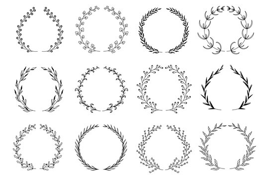 Ornamental branch wreathes set in hand drawn design. Laurel leaves wreath and decorative branch bundle. Botanical outline decor of herbs, twigs, sprigs and plants elements. Vector floral decoration
