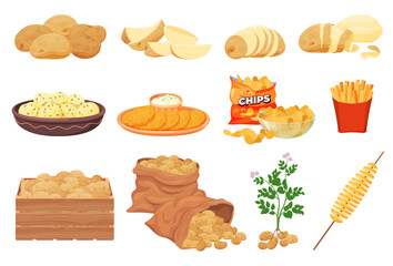 Set with potatoes. Potato dishes. Agricultural food product. Vector illustration