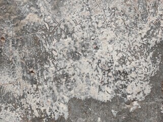 Peeled Texture of old concrete wall for background exposed concrete.Stucco white wall background or texture.Vintage or grungy background of natural cement Wall old texture.Wall fragment with scratch.