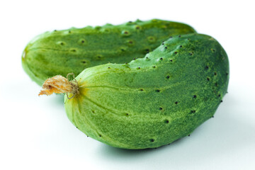 Fresh harvest of cucumbers with dry blossom isolated on white background. Green gherkins close up. Homegrown pickles macro shot. Texture of cucumbers peel