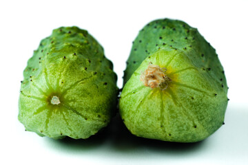 Fresh harvest of cucumbers with dry blossom isolated on white background. Green gherkins close up. Homegrown pickles macro shot. Texture of cucumbers peel
