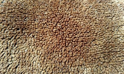 Old wall Abstract background vintage grunge background texture design with elegant antique paint on wall illustration.