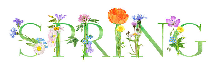 watercolor drawing lettering spring with flowers, hand drawn illustration