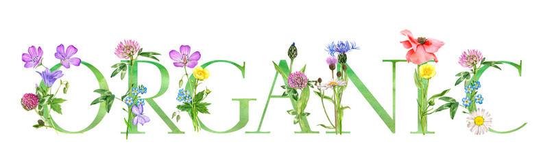 watercolor drawing lettering organic with flowers, hand drawn illustration