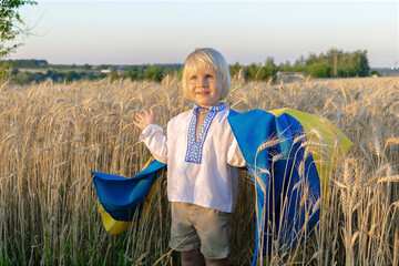 Cute little smiling child kid boy in embroidered shirt holding,carrying ukrainian national blue yellow flag in wheat field.military russian invasion.Ukraines Independence,Flag,Constitution,Kiev day