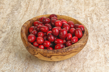 Ripe sweet tasty cranberry in the bowl