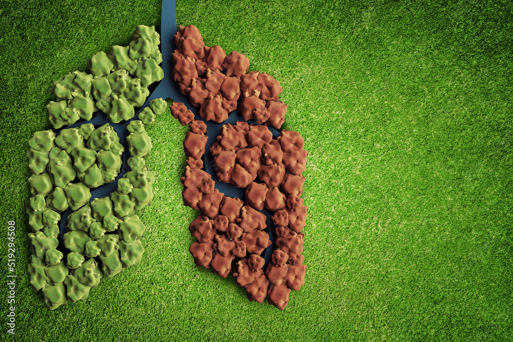 Poster creative green lungs on grass background with mock up place. ecology and green energy concept. 3d re