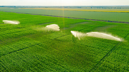 Above view on high pressure agricultural water sprinkler, sprayer, sending out jets of water to...