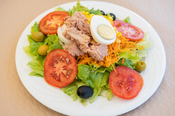 Horizontal shot of plate with salad. The ingredients are lettuce, bonito, egg, carrot, tomato and olives