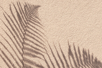 Tropical palm branch with shadow on a beige concrete wall, natural texture. Abstract background. Copy space. Summer wallpaper, minimal concept. Template with beautiful decor and natural lightning.