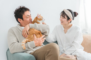 家で猫を飼うカップル・夫婦（飼い主）
