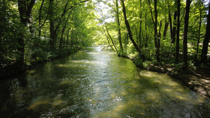 Obraz premium Stream among trees, Bavarain landscape horizontal