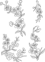 Free hand Sakura flower vector set, Beautiful line art Peach blossom isolate on white background.Branch of cherry blossom for printing on wallpapers and sticker.Japanese flower.Golden line art.