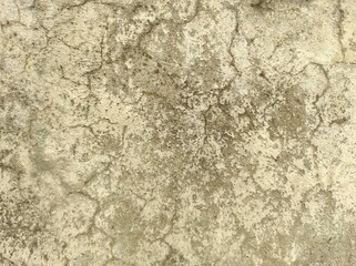 Grunge Background Texture,Dirty Splash Painted Wall,Abstract Splashed Art.Concrete wall white grey color for background. old grunge textures with scratches and cracks.white painted cement wall.