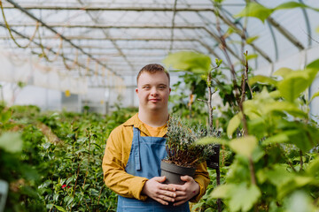 Happy young employee with Down syndrome working in garden centre, taking care of flowers.