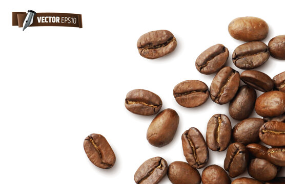 Vector realistic illustration of coffee beans on a white background.