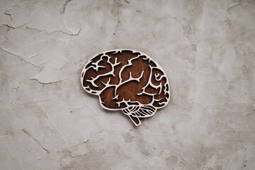 Wooden model of brain on a table. Top view