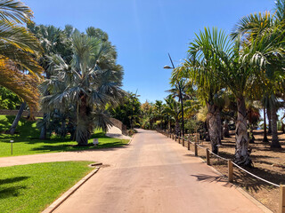 Fototapeta na wymiar Botanical tropical city park of Puerto de la Cruz, Tenerife, Canary Islands, Spain