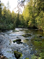Mountain river among large stones and with forest banks
