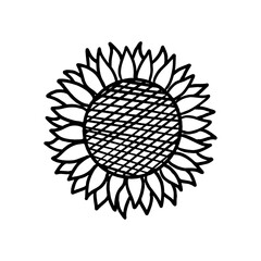 Sunflower in hand drawn doodle style. Floral sketch isolated on white background.