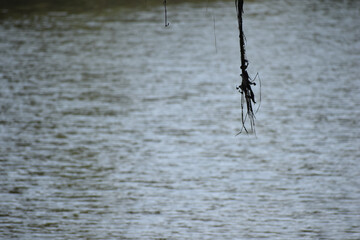 view of river in India