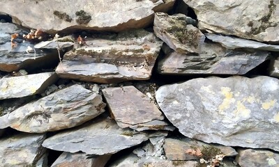 Abstract background with lot of various shape peeble stones. 