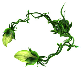 Plant Vines Bite, Crab Claws