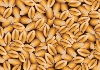 Fondo de granos de trigo. Cereal