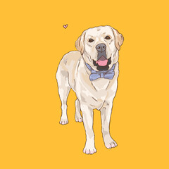 labrador retriever standing digital portrait with bow - dogs illustration