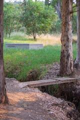Wooden bridges over small streams for walking along forest paths