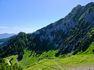 Obraz premium アルプスの山路