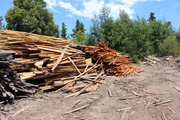 Old Wood Pile, timber or lumber