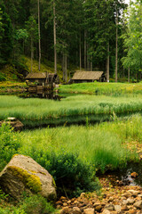 old watermill in the forest