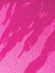 Fototapeta na wymiar Summer and pink aesthetic. Stylish minimalist wallpaper. plant shadows