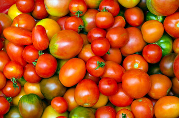 Fototapeta na wymiar Tomato in macro view