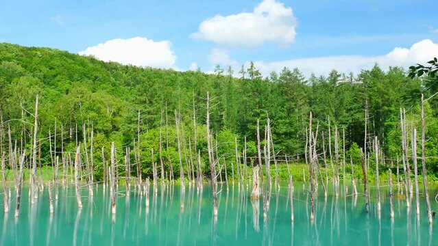 北海道　青い池