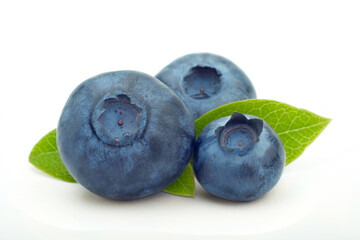 Blueberry closeup on white