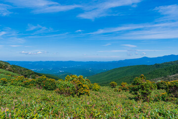 夏の伊豆半島　高原のトレッキングコースから見る風景