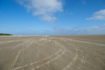 Fototapeta na wymiar Empty sandy beach on the north sea, windy weather