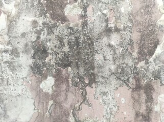 Background Grey wall texture abstract grunge ruined scratched.Raw concrete wall texture.Gray stucco wall texture background. pattern useful as background or texture Ceramic tile. colored natural panel