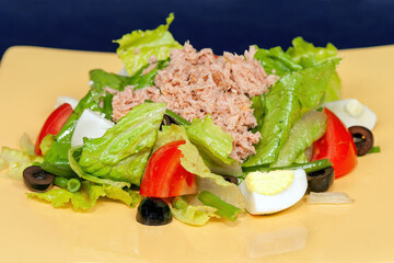 Tuna salad with tomatoes , olives , eggs and onion .