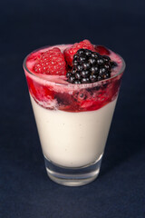 Delicious Italian dessert Panna Cotta with strawberry coulis, blackberries and raspberries. Milk dessert with berries.
