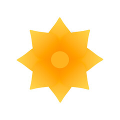 Yellow flower isolated on white background