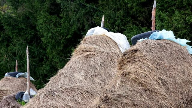 haystack in the wind - Romania