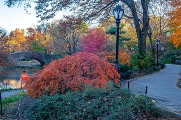 Photo sur Plexiglas Pont de Gapstow Gapstow Bridge dans Central Park, automne