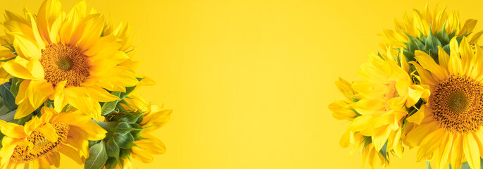 Beautiful sunflowers on yellow background. Sunflower background. Flat lay, top view, copy space, banner