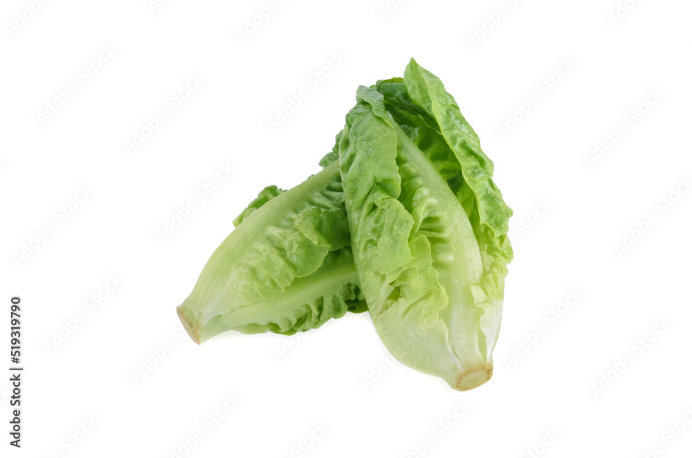 Wall mural fresh baby cos (lettuce) on white background