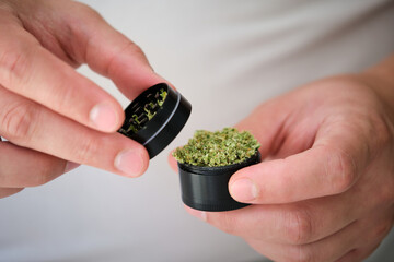 Two hands holding marijuana grinder with milled cannabis female flower. Herb grinder.